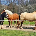 Les Vergers D'epona 
