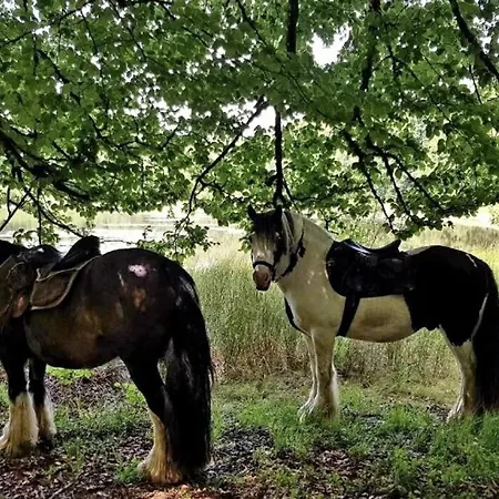Les Vergers D'epona 