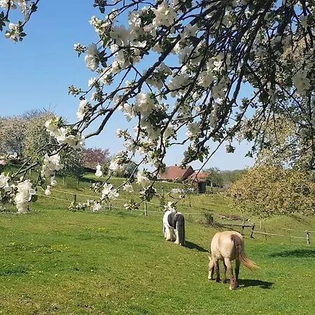 Nyaraló Les Vergers D'epona 
