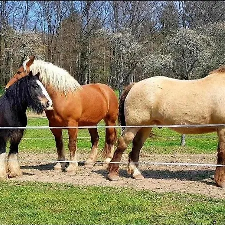 Les Vergers D'epona 