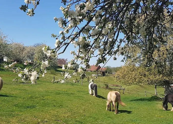 度假居 Les Vergers D'epona 